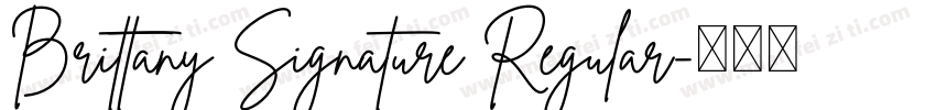Brittany Signature Regular字体转换